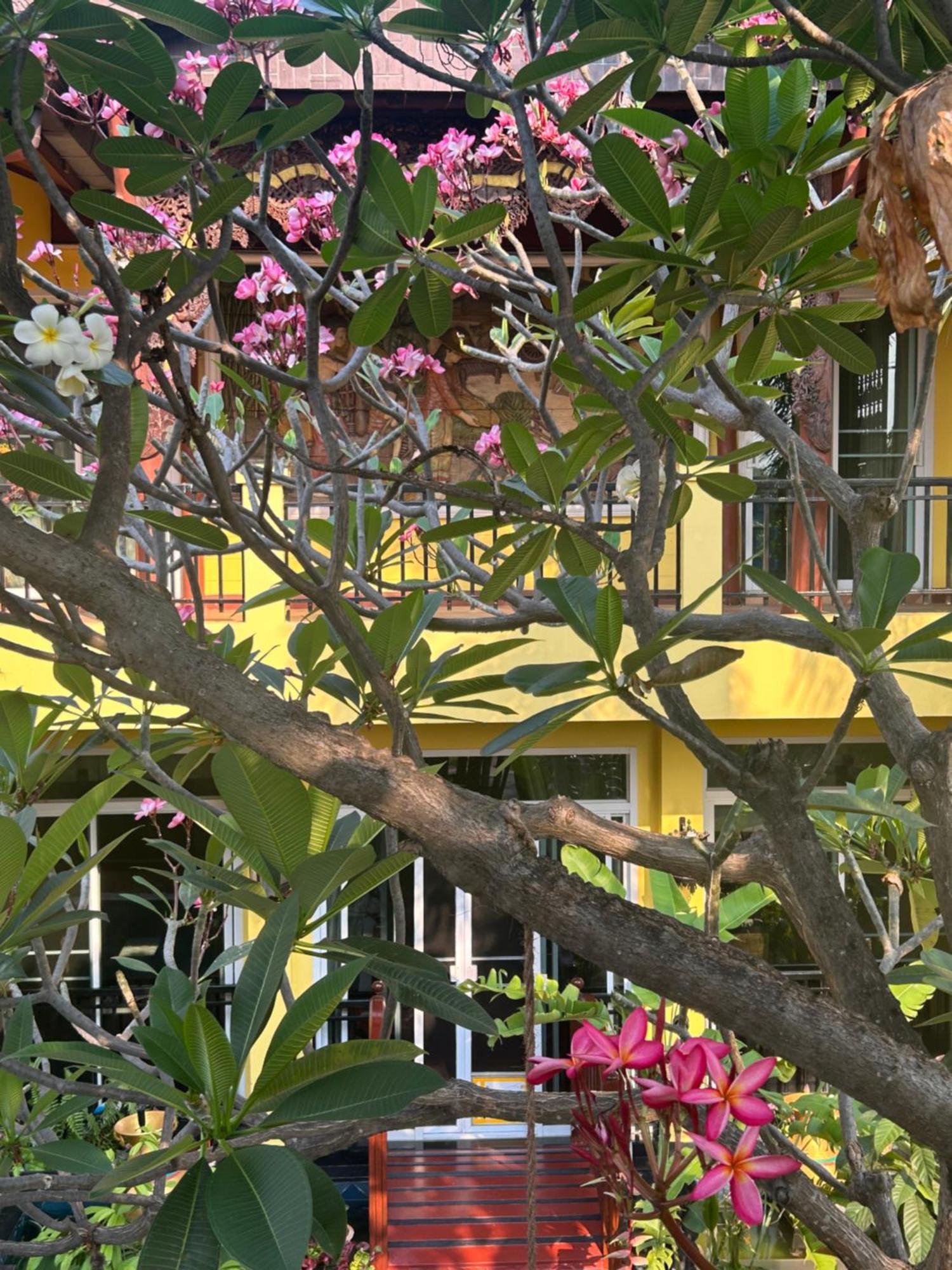 Lamduan Boutique Homestay Τσιάνγκ Μάι Εξωτερικό φωτογραφία