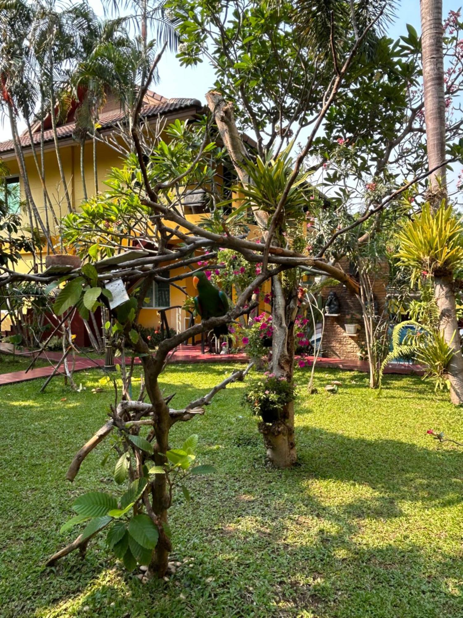 Lamduan Boutique Homestay Τσιάνγκ Μάι Εξωτερικό φωτογραφία